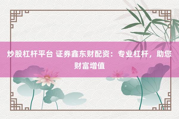 炒股杠杆平台 证券鑫东财配资：专业杠杆，助您财富增值