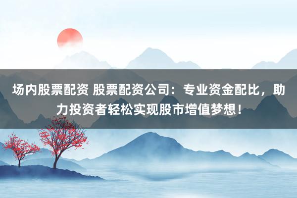 场内股票配资 股票配资公司：专业资金配比，助力投资者轻松实现股市增值梦想！