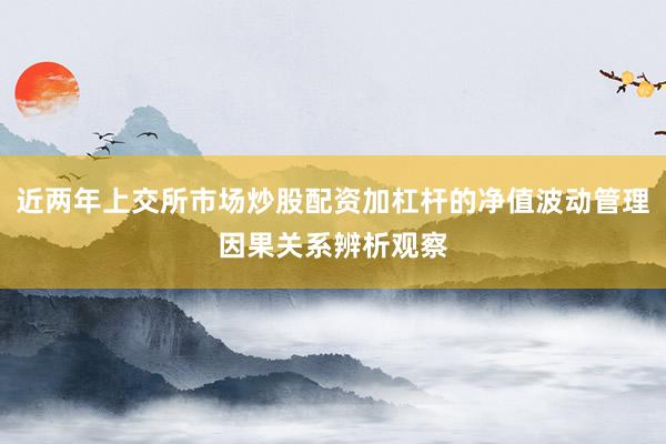 近两年上交所市场炒股配资加杠杆的净值波动管理因果关系辨析观察