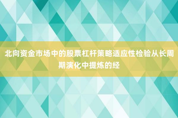 北向资金市场中的股票杠杆策略适应性检验从长周期演化中提炼的经