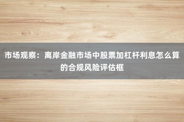 市场观察：离岸金融市场中股票加杠杆利息怎么算的合规风险评估框